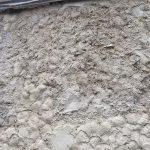 Repairing a Cob Wall in Cornwall