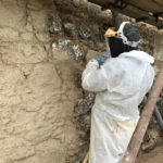 Lime Rendering in Coverack, Cornwall