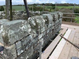 Lime Pointing on Clock Tower