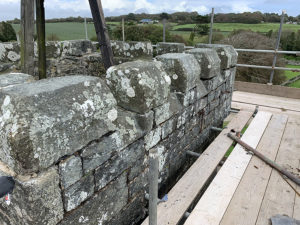 Lime Pointing on Clock Tower