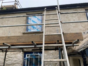 Lime Rendering & Pointing