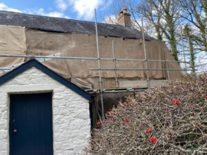Lime Rendering & Pointing