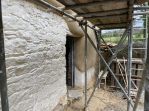 Lime Rendering & Pointing