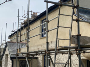 Lime Rendering & Pointing