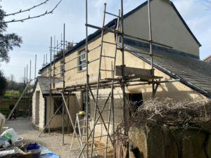 Lime Rendering & Pointing
